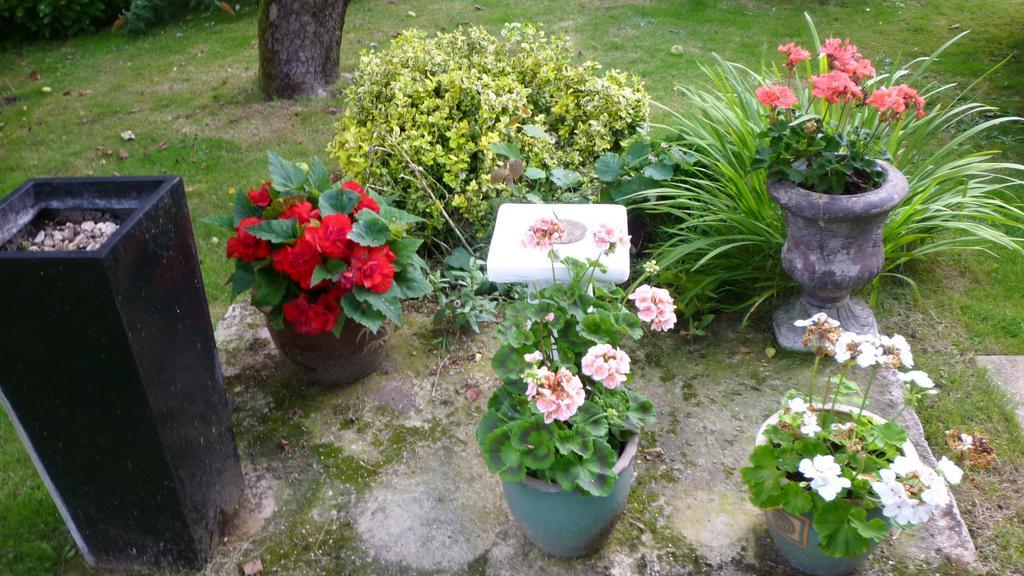 Hopewell Self-Catering Appartement Gravesend Buitenkant foto