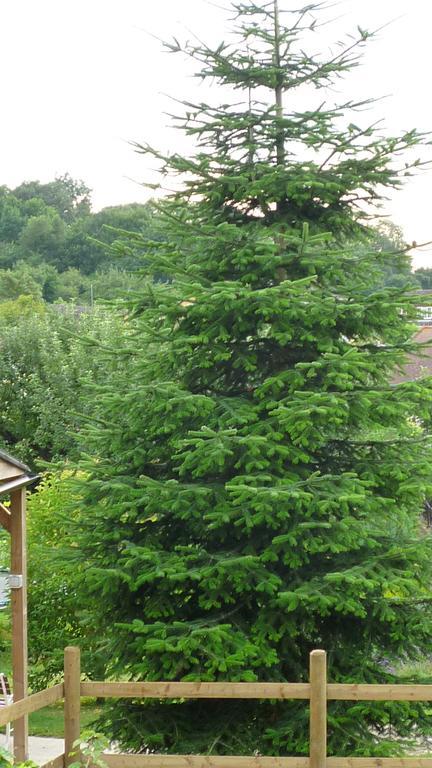 Hopewell Self-Catering Appartement Gravesend Buitenkant foto